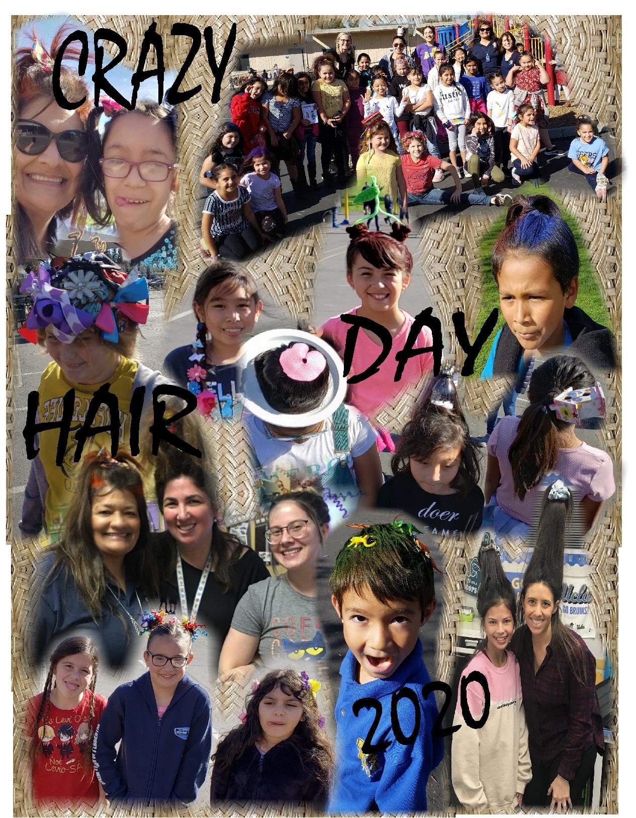 Pics of crazy hair day